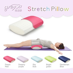 GreySa Stretch Pillow